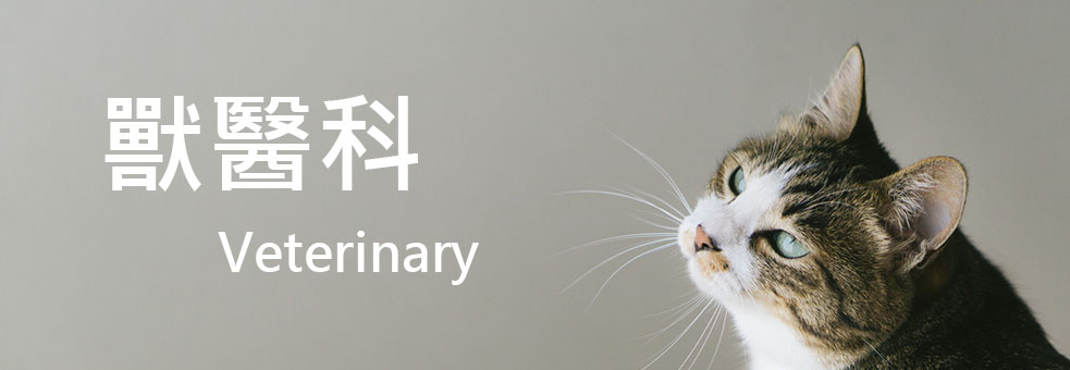 banner_vet banner_vet